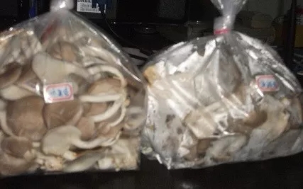 33.webp.jpg 33.webp.jpg