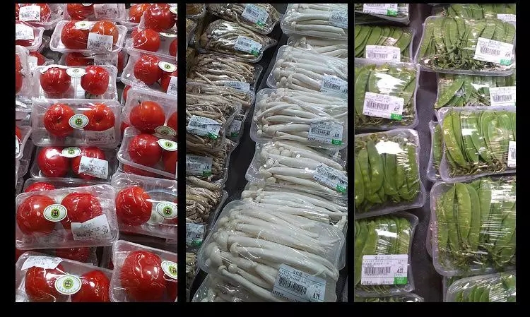 2.webp (1).jpg 2.webp (1).jpg