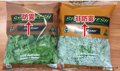 66.webp.jpg 66.webp.jpg