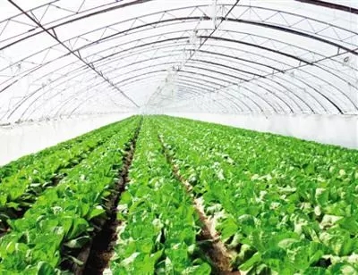 001.webp.jpg 001.webp.jpg