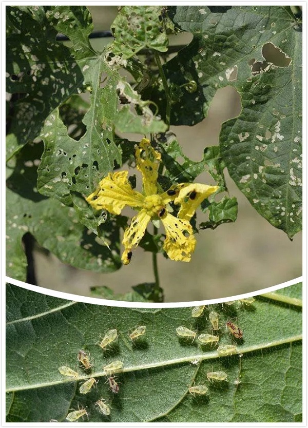 640.webp (1).jpg 640.webp (1).jpg